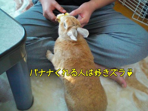 ふう8