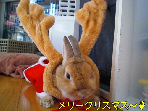 クリスマス2