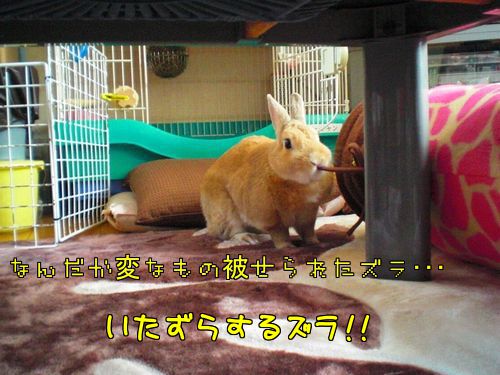 クリスマス7