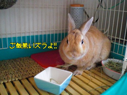 しっこ8