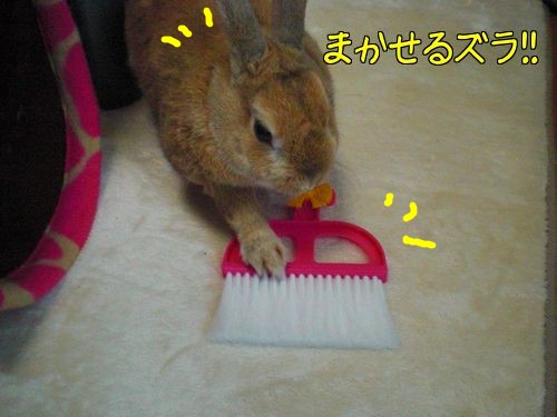 ごち7