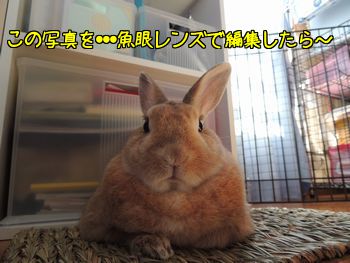 空に10