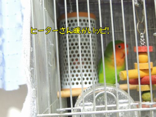 雪10