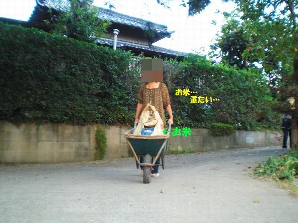 CIMG4599.jpg