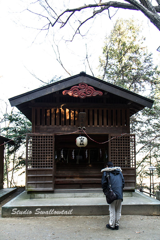 IMG_6445.jpg