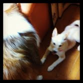 バトル2