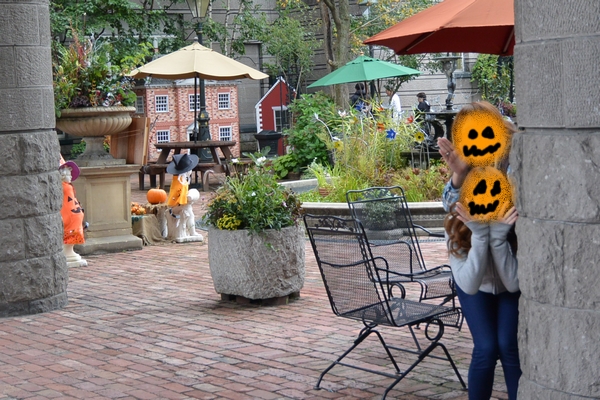 DSC_0893.jpg
