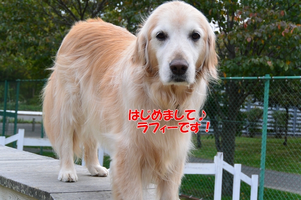DSC_0999.jpg