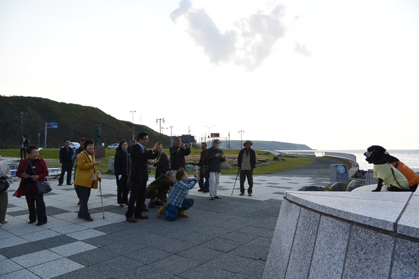 DSC_1247.jpg