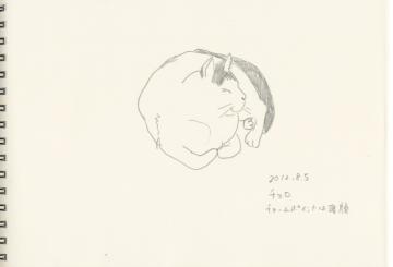 スキャン 66