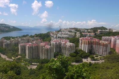 P1010228.jpg
