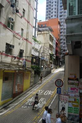 P1010331.jpg