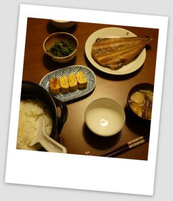 P1010600a.jpg