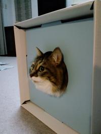 20120422_2.jpg