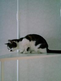 20120429_5.jpg