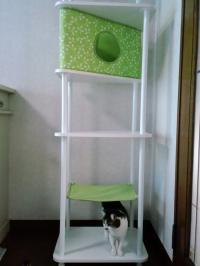 20120505_1_convert.jpg
