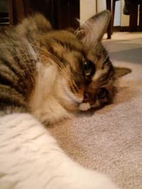 20120605_1_convert.jpg