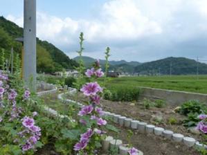 遊歩道