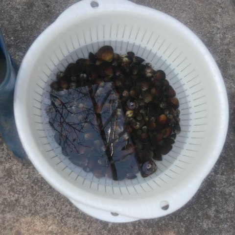2013031715020000.jpg