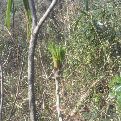 2013032216190000.jpg