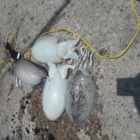 2013051811490000.jpg