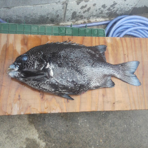 2013052716170000.jpg
