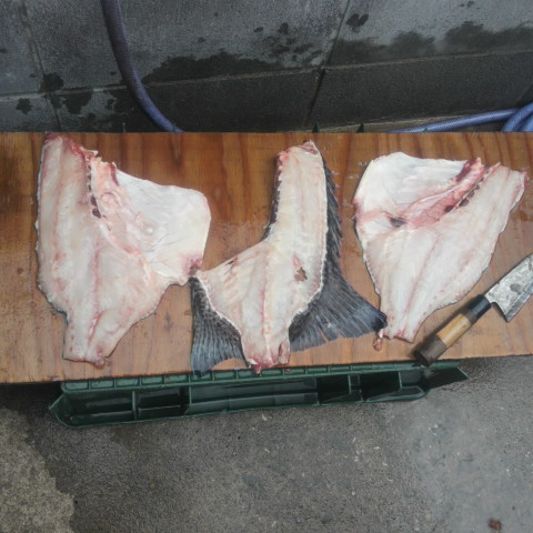 2013052716300000.jpg