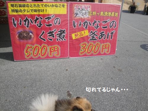 20130317-3.jpg