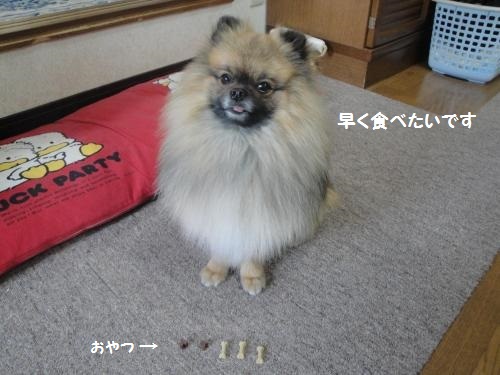 20130317-6.jpg