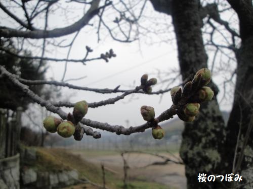 20130320-1.jpg