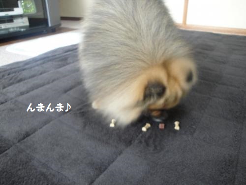 20130320-6.jpg