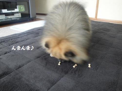 20130320-7.jpg