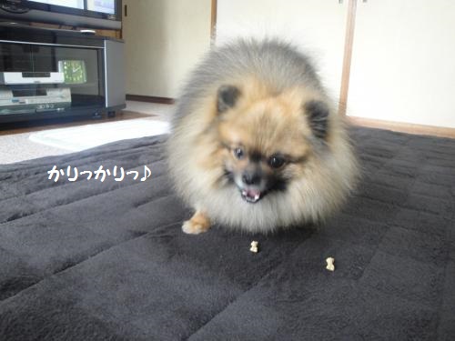 20130320-8.jpg