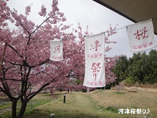 20130323-1.jpg