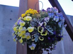 20130323-10-1.jpg