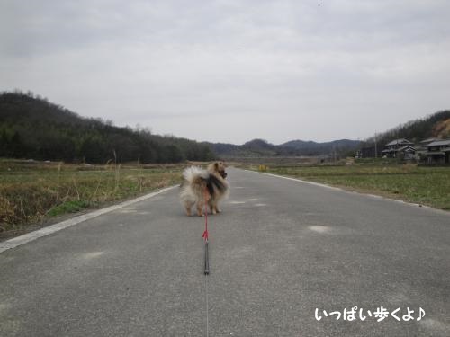 20130331-1.jpg
