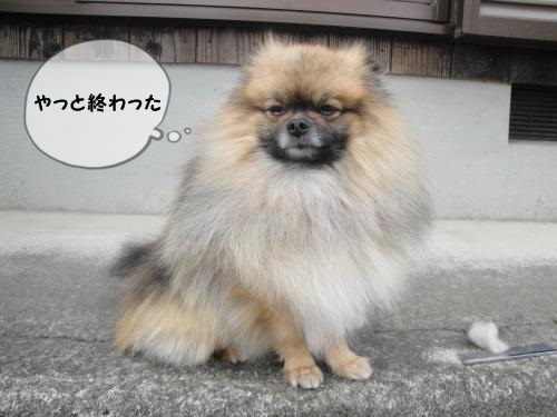 20130331-10.jpg