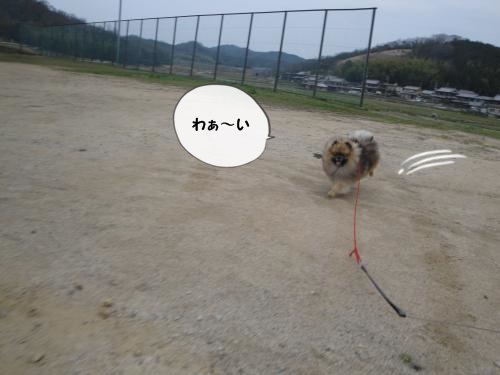 20130331-8.jpg