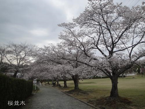 20130331pm-12.jpg