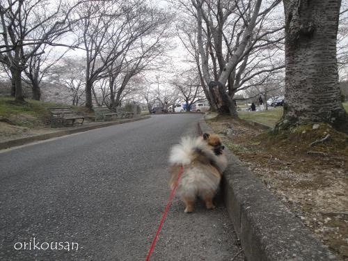 20130331pm-13.jpg
