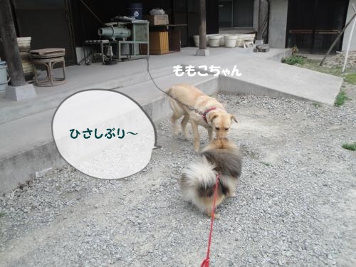 20130331pm-15.jpg