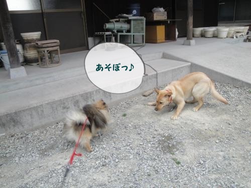 20130331pm-16.jpg