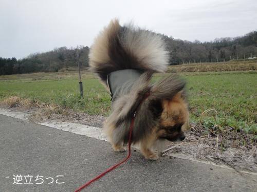 20130406-1.jpg