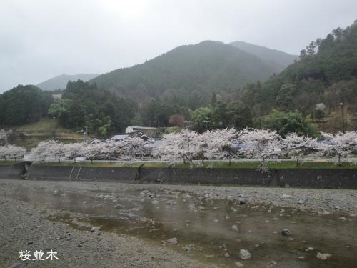 20130406-11.jpg