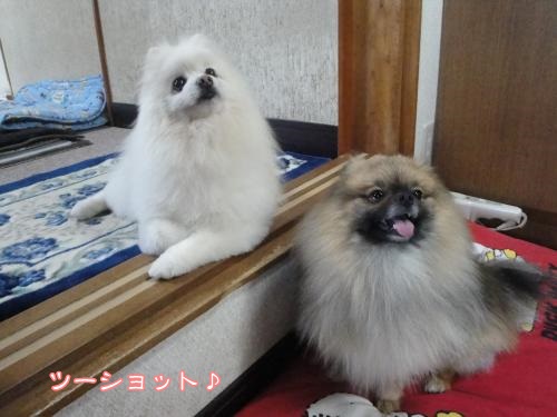 20130413-3.jpg