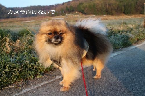 20130413-5.jpg