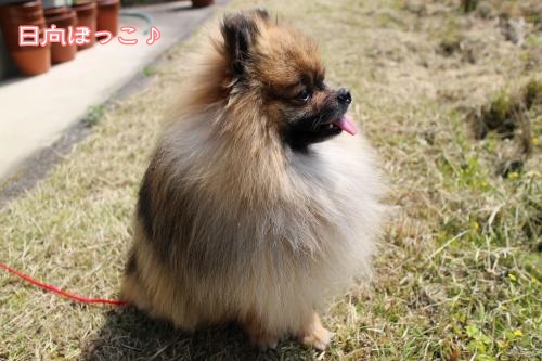 20130414-4.jpg