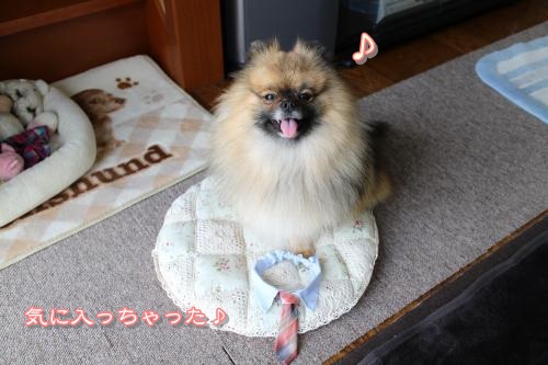 20130414sp-7.jpg