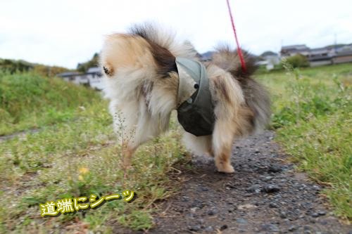 20130421-2.jpg
