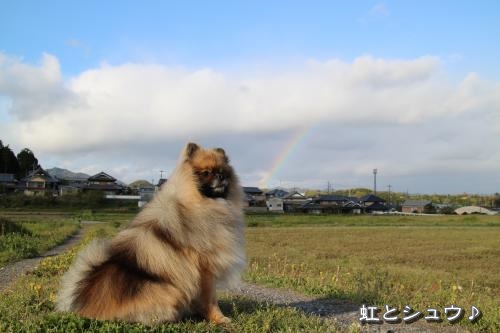 20130421niji-1.jpg